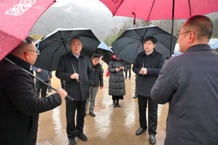 張祥安在宜秀區調研督導和美鄉村精品示范村建設時強調